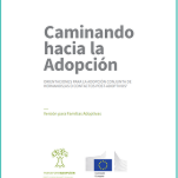 Caminando hacia la adopción. Orientaciones para la adopción conjunta de hermanos/as o contactos post-adoptivos. Versión para familias adoptivas